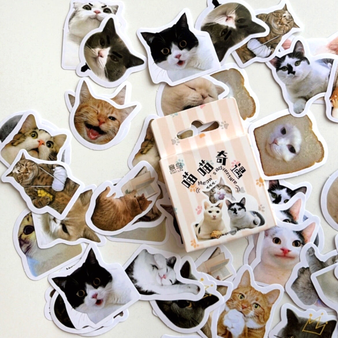 Stickers cajita (varios modelos)