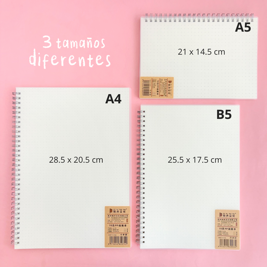 Libreta H. PUNTOS